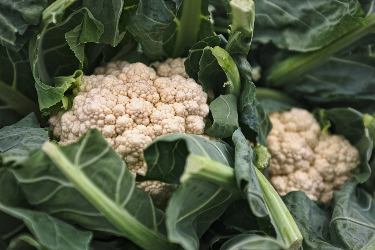 Cauliflower, beyond the rice bowl
